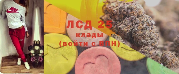 стаф Ступино